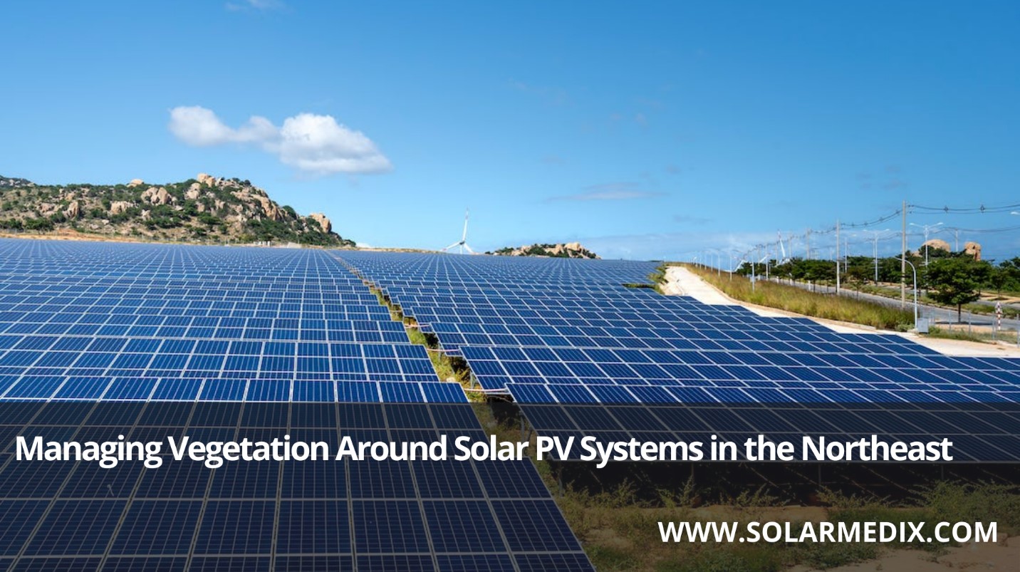 Managing Vegetation Around Solar PV
